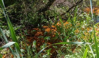 28 Mile Rd, Albion, MI 49224
