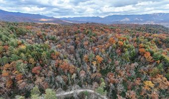 135 49ac Webb Creek Rd, Andrews, NC 28901