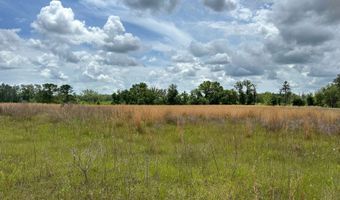 TBD NW LEVI GLN LOT 1, Lake City, FL 32055