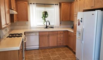 298 Fallen Leaf Ln, Fernley, NV 89408