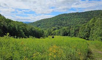 Shaver Hollow, Andes, NY 13731