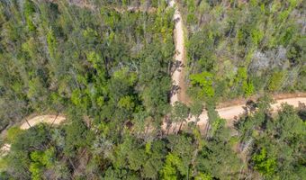 Beardsley Drive lot 58, Bainbridge, GA 39819