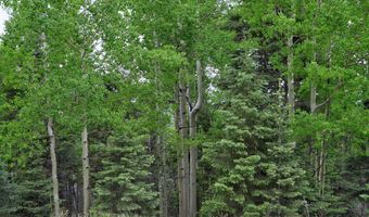 El Camino Real lot 453, Angel Fire, NM 87710