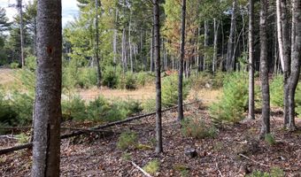 Bluff Road lot 5, Bar Harbor, ME 04609