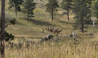 14884 Rist Canyon Rd, Bellvue, CO 80512
