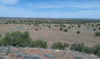 98 N9222, Concho, AZ 85924