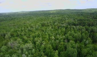 38 Monument Rd, Abbot, ME 04406