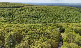 Arciel Drive, Albrightsville, PA 18210