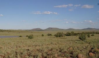 Lot 55 Concho Lakeland, Concho, AZ 85924