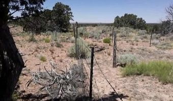 210-06 005 & 206-51-136, Chambers, AZ 86502