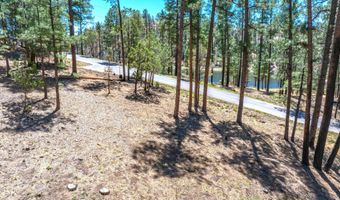 223 Lake Shore Dr Lot 1, Alto, NM 88312