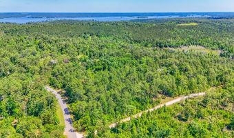 93 Acres Dell Rd, Bainbridge, GA 39819