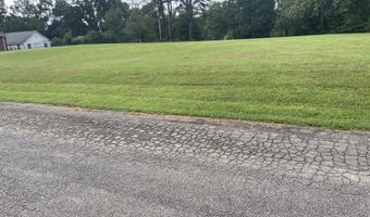 CANEY BRANCH Rd lot 34, Adamsville, TN 38310
