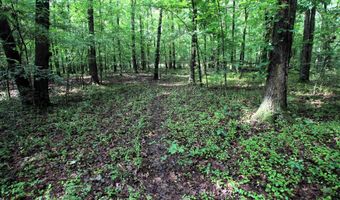 000 AVE 5 SW St, Atkins, AR 72823
