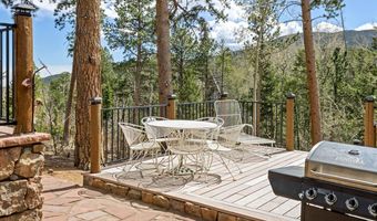 131 County Road 90, Allenspark, CO 80510