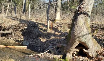 4775 S 50th Rd, Aldrich, MO 65601