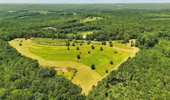568 COUNTY ROAD 15 Lot 1, Autaugaville, AL 36003