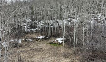 777 RICHARDSON CREEK Rd, Afton, WY 83110