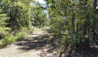 651 Grand Saline St, Alba, TX 75410