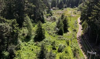 20452 Whaleshead Rd, Brookings, OR 97415