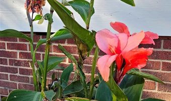 218 Wilson Street Unit A & B A&B, Albemarle, NC 28001