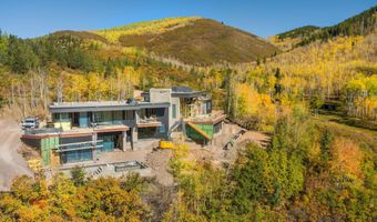 401 Carroll Dr, Aspen, CO 81611