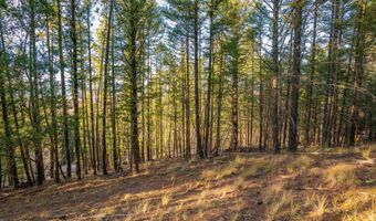 El Camino Real lot 35, Angel Fire, NM 87710