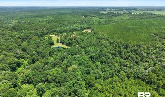 3470 Bell Fork Rd, Atmore, AL 36502
