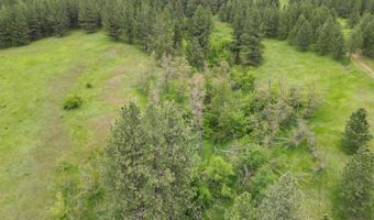 1510 Summitview Driave, Ahsahka, ID 83520
