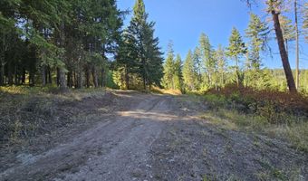 25 XX BURGESS Rd, Addy, WA 99101