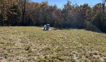 County Road P-309, Alton, MO 65606