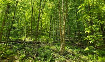 150 Spur Rd, Bloomfield, VT 05905