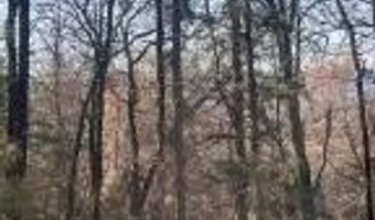 00000 Crow Mountain Dr, Atkins, AR 72823
