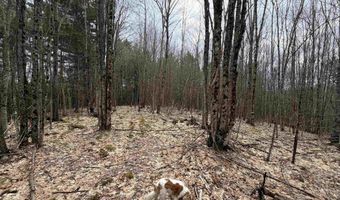 38 F Lang Rd, Bath, NH 03740