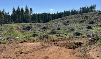 Tunnel Tract Parcel2, Banks, OR 97106