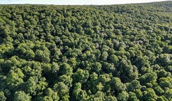 Whiskey Creek Lane, Batesville, AR 72501