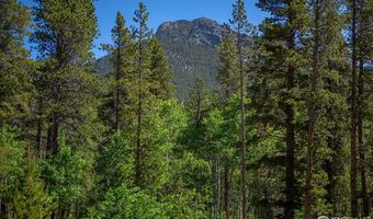 1217 Big Owl Rd, Allenspark, CO 80510
