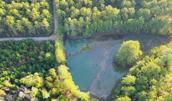 644 Ash-Harrel Loop, Abbeville, GA 31001
