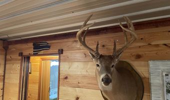 34655 Co Rd 49, Beaverton, AL 35544