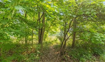 6501 Thornapple River Dr SE, Alto, MI 49302