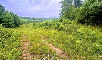 13 44 Ac Chestnut Ridge Rd, Allardt, TN 38504