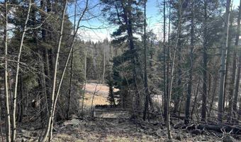 1116 El Camino Real, Angel Fire, NM 87710