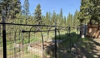 77 Timber Ln, Adin, CA 96006