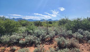 Lot 4 E Willys Run Road, Bisbee, AZ 85603