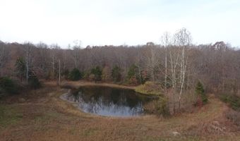 2483 County Road 314, Alton, MO 65606