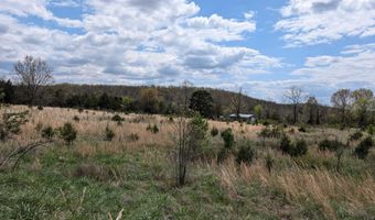 56 Highway, Ash Flat, AR 72513