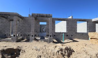 378 Lady Palm St, Apopka, FL 32703