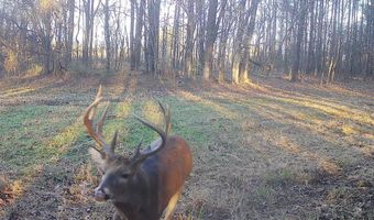 425 Rose Hill Rd, Bentonia, MS 39040