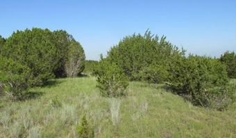 4089 County Road 233, Hico, TX 76457