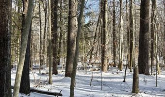 Lot 80-1 Currier Road, Candia, NH 03034